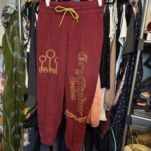 Warner Bros. Harry Potter Gryffindor Seeker Joggers